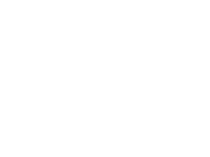 MTN logo